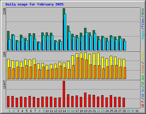 Daily usage for February 2025