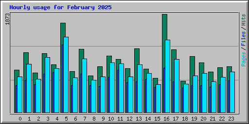 Hourly usage for February 2025