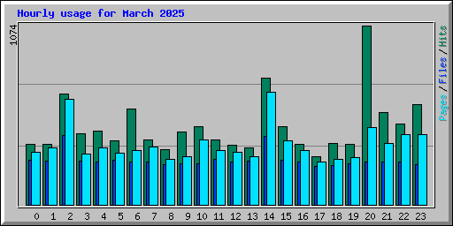 Hourly usage for March 2025